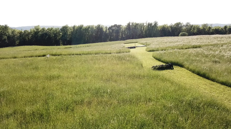 Durham Dental Studio | Periodontal Treatment, Dentures and Night Guards